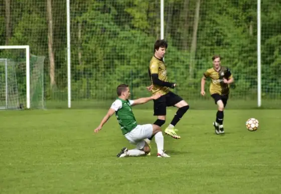 Sedmá výhra v řadě, Palkovice porážíme 3:1